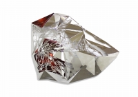 http://www.tmelissa.com/files/gimgs/th-68_Melissa Tan - Proserpina, 2019, Mirror finish stainless steel and epoxy resin, 90 x 73 x 10_3 cm LOWRES.jpg